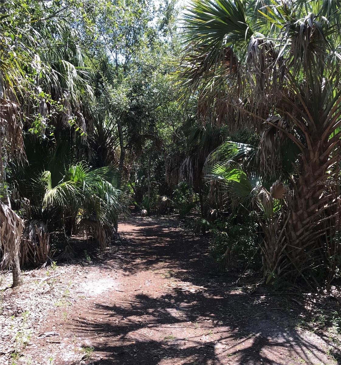 3847 30TH AVE S, ST PETERSBURG, FL, 33711