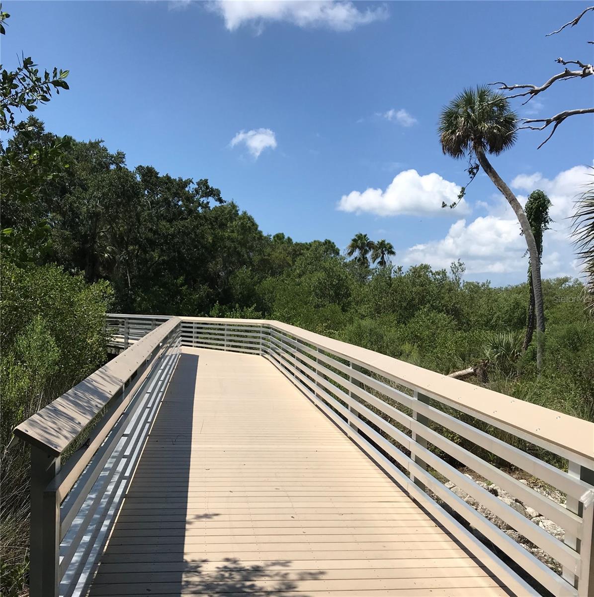 3847 30TH AVE S, ST PETERSBURG, FL, 33711