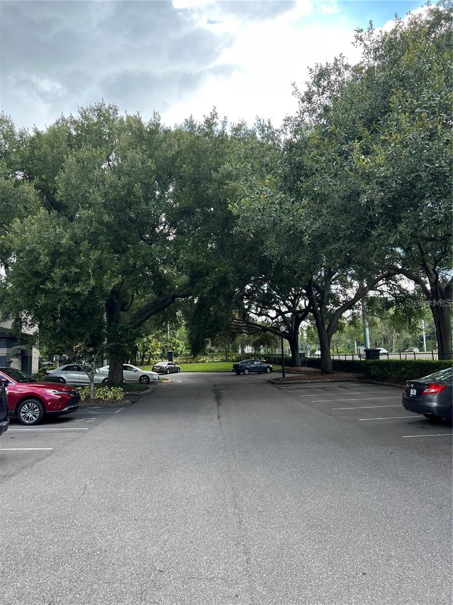 8517 SEA HARBOUR LN #207, TEMPLE TERRACE, FL, 33637