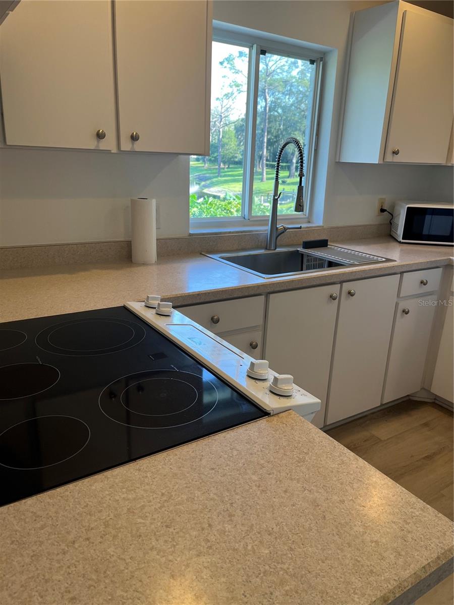 2452 LAKE RUBY RD, DELAND, FL, 32724