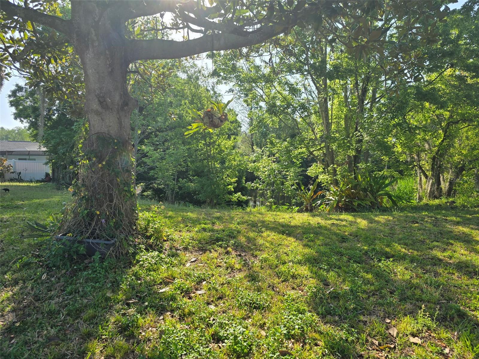 4350 SAWGRASS BLVD, NEW PORT RICHEY, FL, 34653