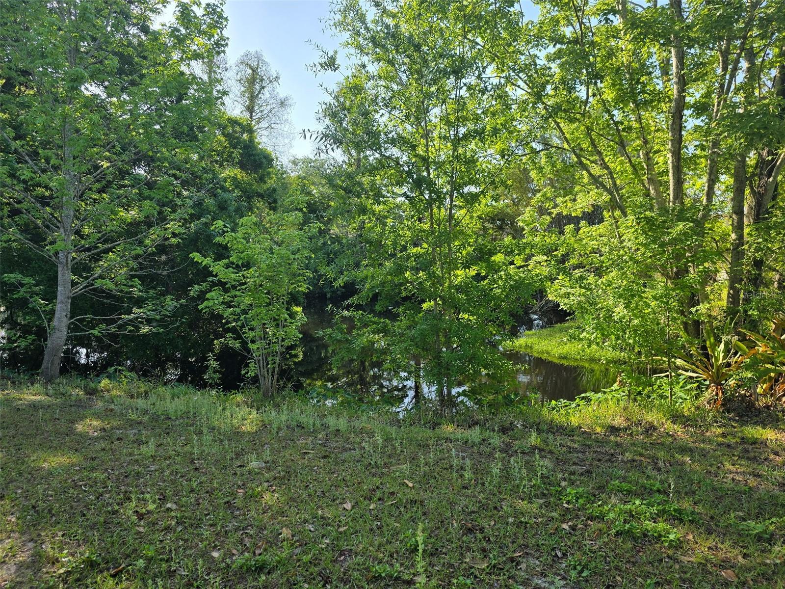 4350 SAWGRASS BLVD, NEW PORT RICHEY, FL, 34653