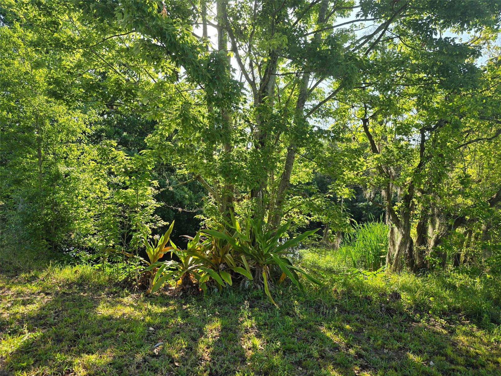 4350 SAWGRASS BLVD, NEW PORT RICHEY, FL, 34653