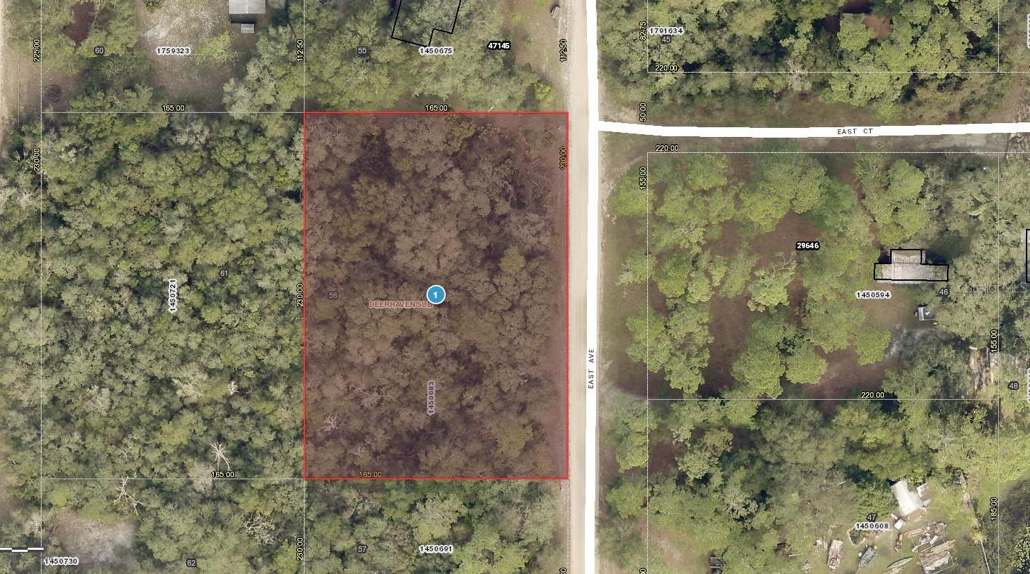 01-17-28-0100-000-05600 EAST AVE, PAISLEY, FL, 32767