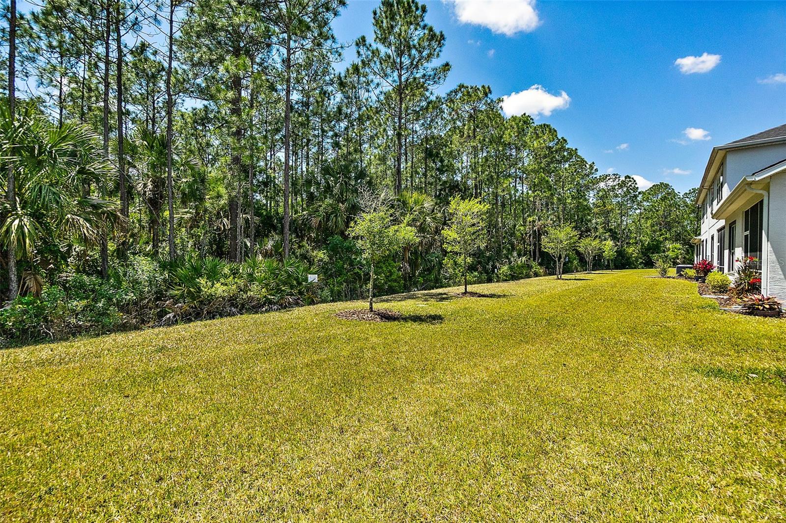 815 PINEWOOD DR, ORMOND BEACH, FL, 32174