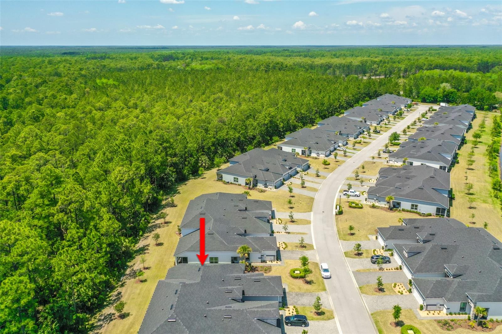 815 PINEWOOD DR, ORMOND BEACH, FL, 32174