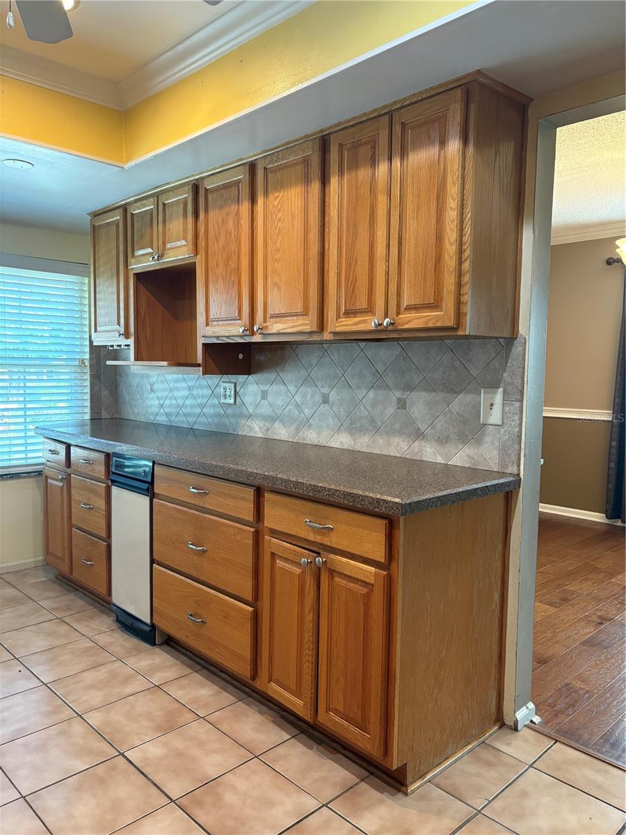 1135 PALACE PL, LAKELAND, FL, 33813