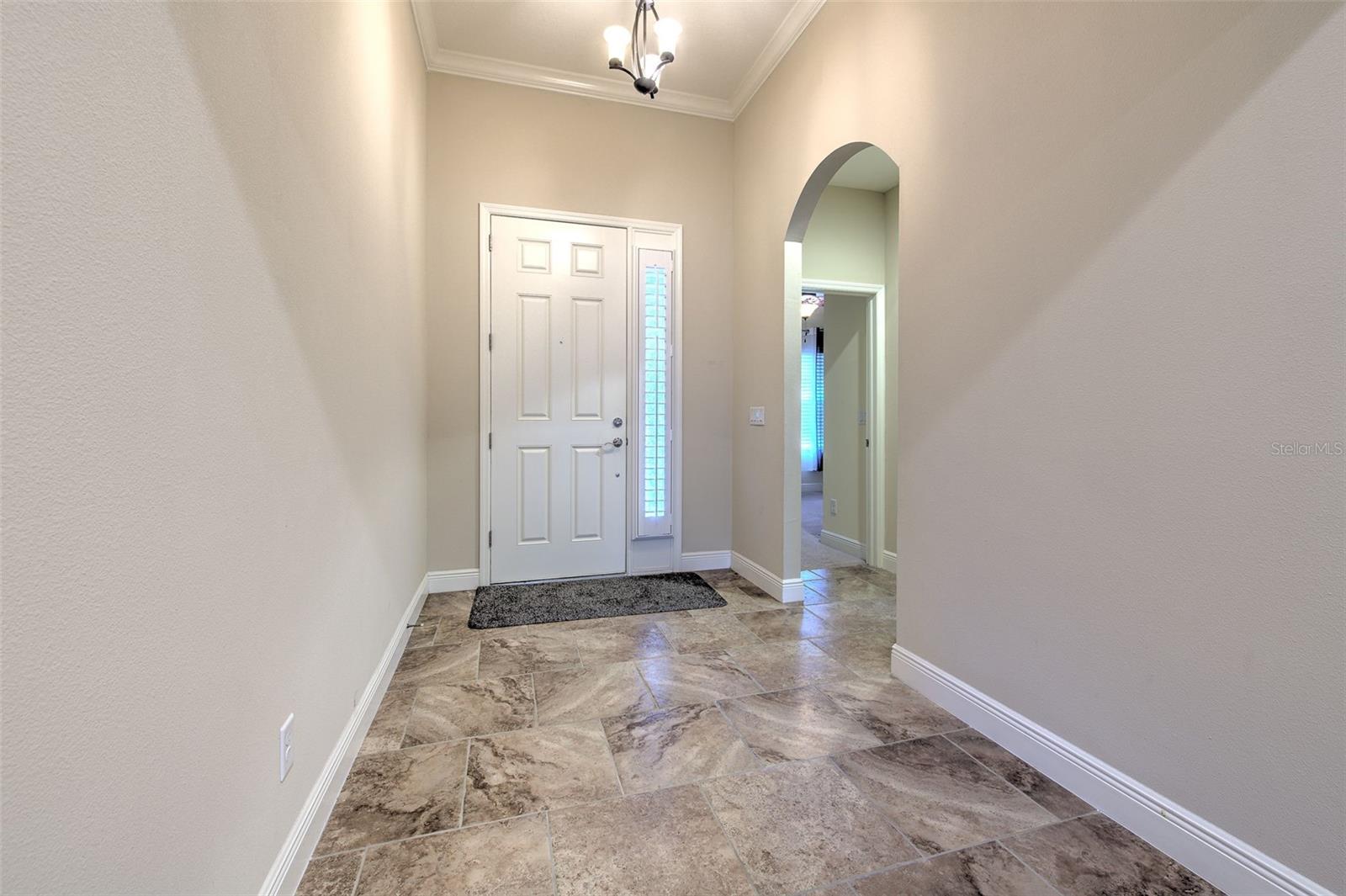 6303 HAWK GROVE CT, WESLEY CHAPEL, FL, 33545