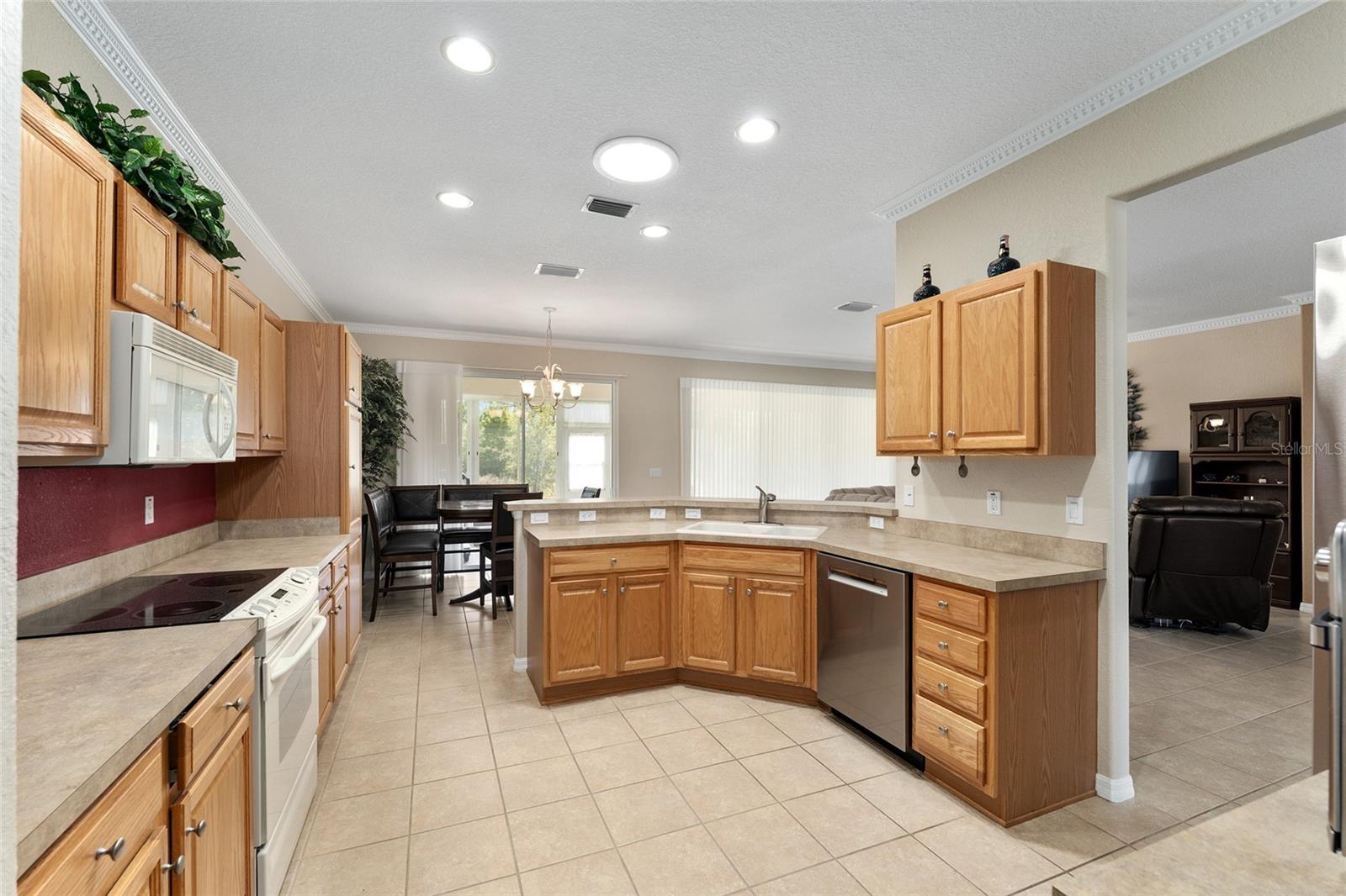 12511 SE 91ST TERRACE RD, SUMMERFIELD, FL, 34491