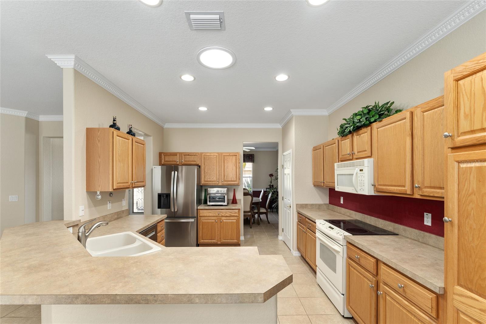 12511 SE 91ST TERRACE RD, SUMMERFIELD, FL, 34491