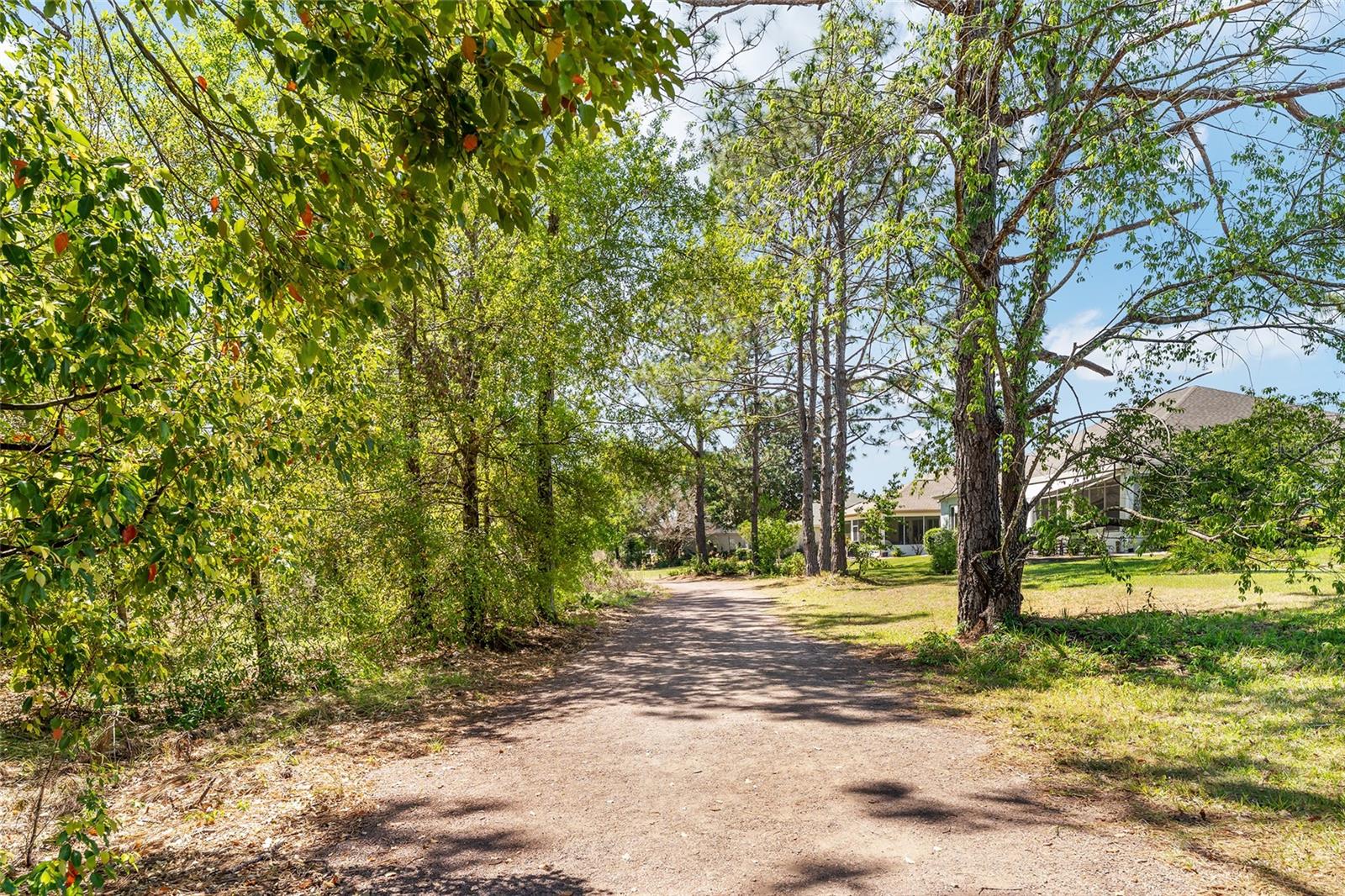 12511 SE 91ST TERRACE RD, SUMMERFIELD, FL, 34491
