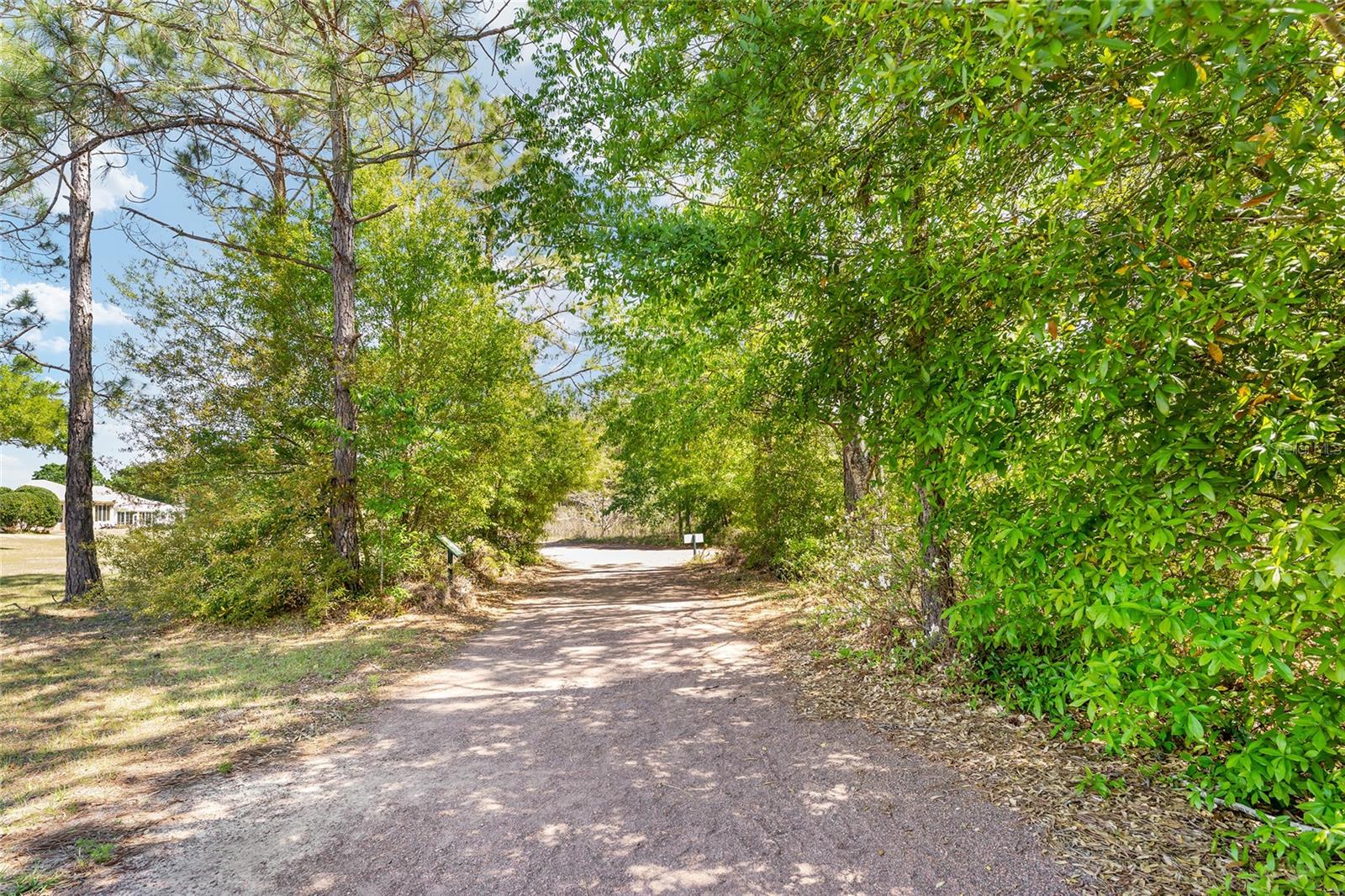 12511 SE 91ST TERRACE RD, SUMMERFIELD, FL, 34491
