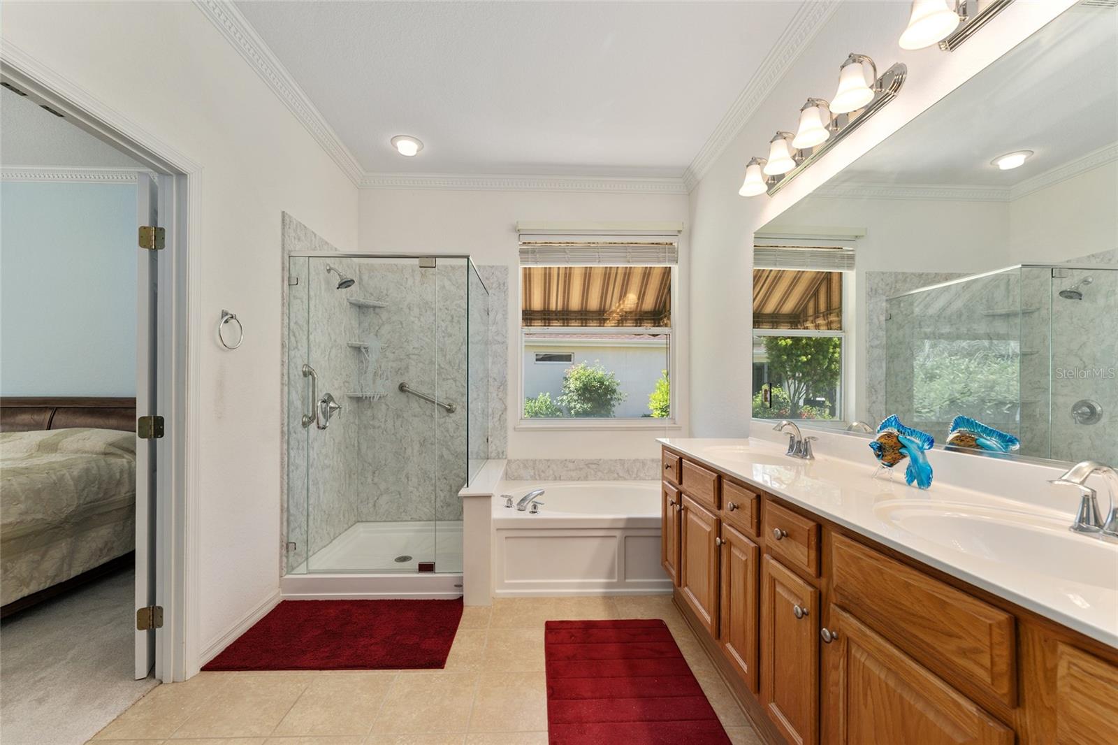 12511 SE 91ST TERRACE RD, SUMMERFIELD, FL, 34491