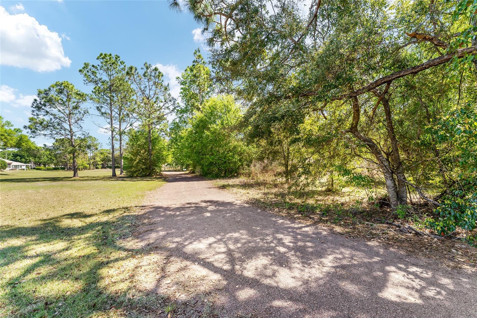 12511 SE 91ST TERRACE RD, SUMMERFIELD, FL, 34491