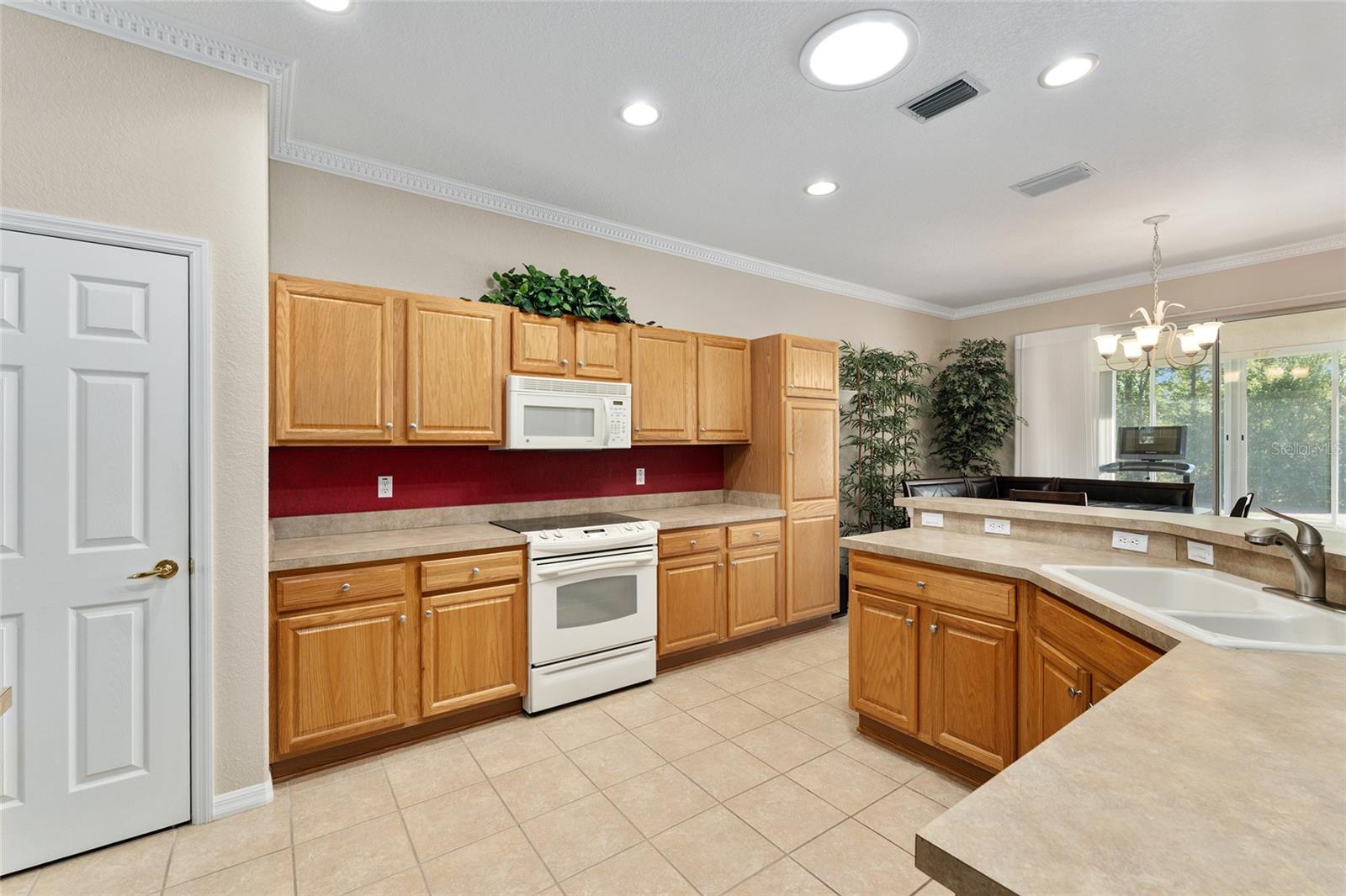 12511 SE 91ST TERRACE RD, SUMMERFIELD, FL, 34491