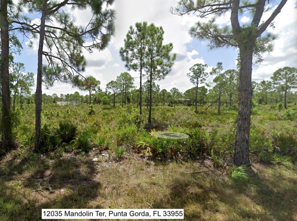 12035 MANDOLIN TER, PUNTA GORDA, FL, 33955