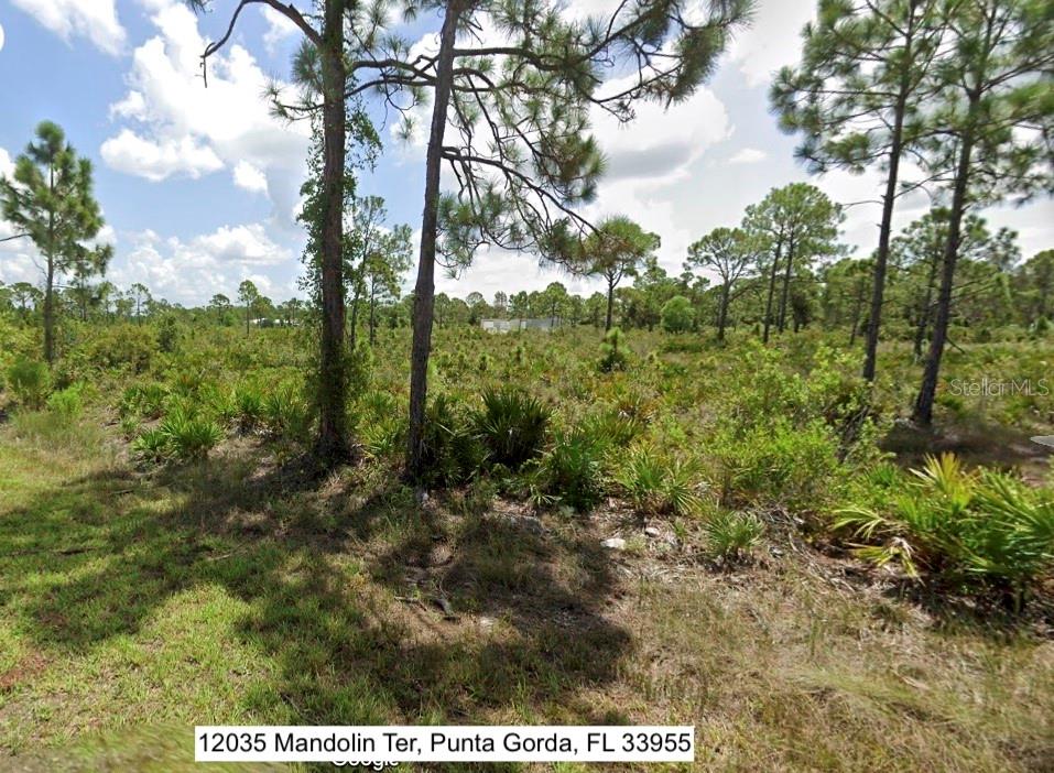 12035 MANDOLIN TER, PUNTA GORDA, FL, 33955