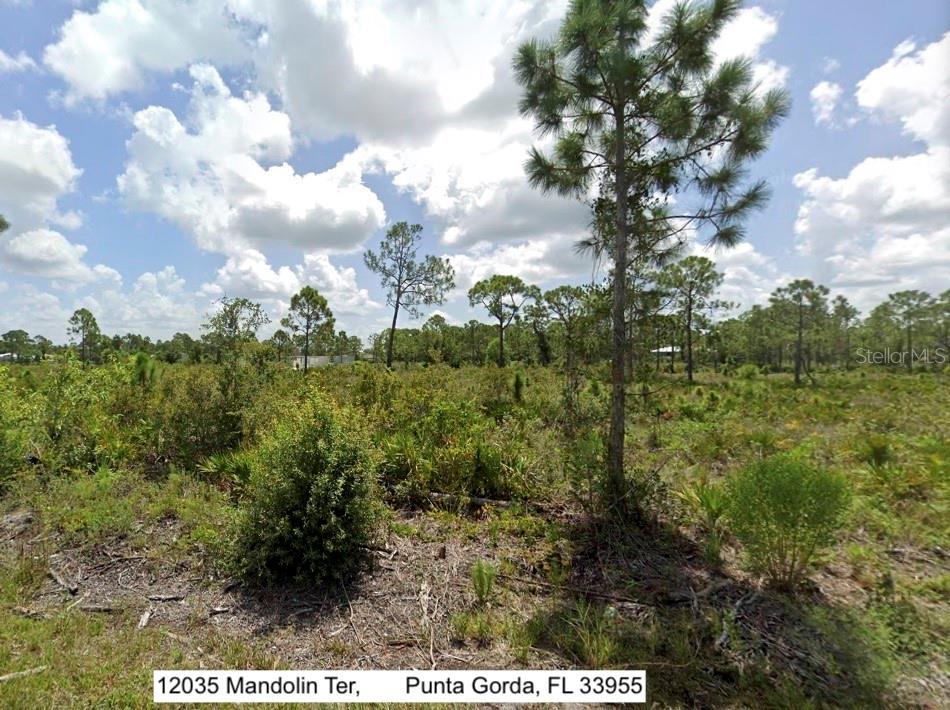 12035 MANDOLIN TER, PUNTA GORDA, FL, 33955
