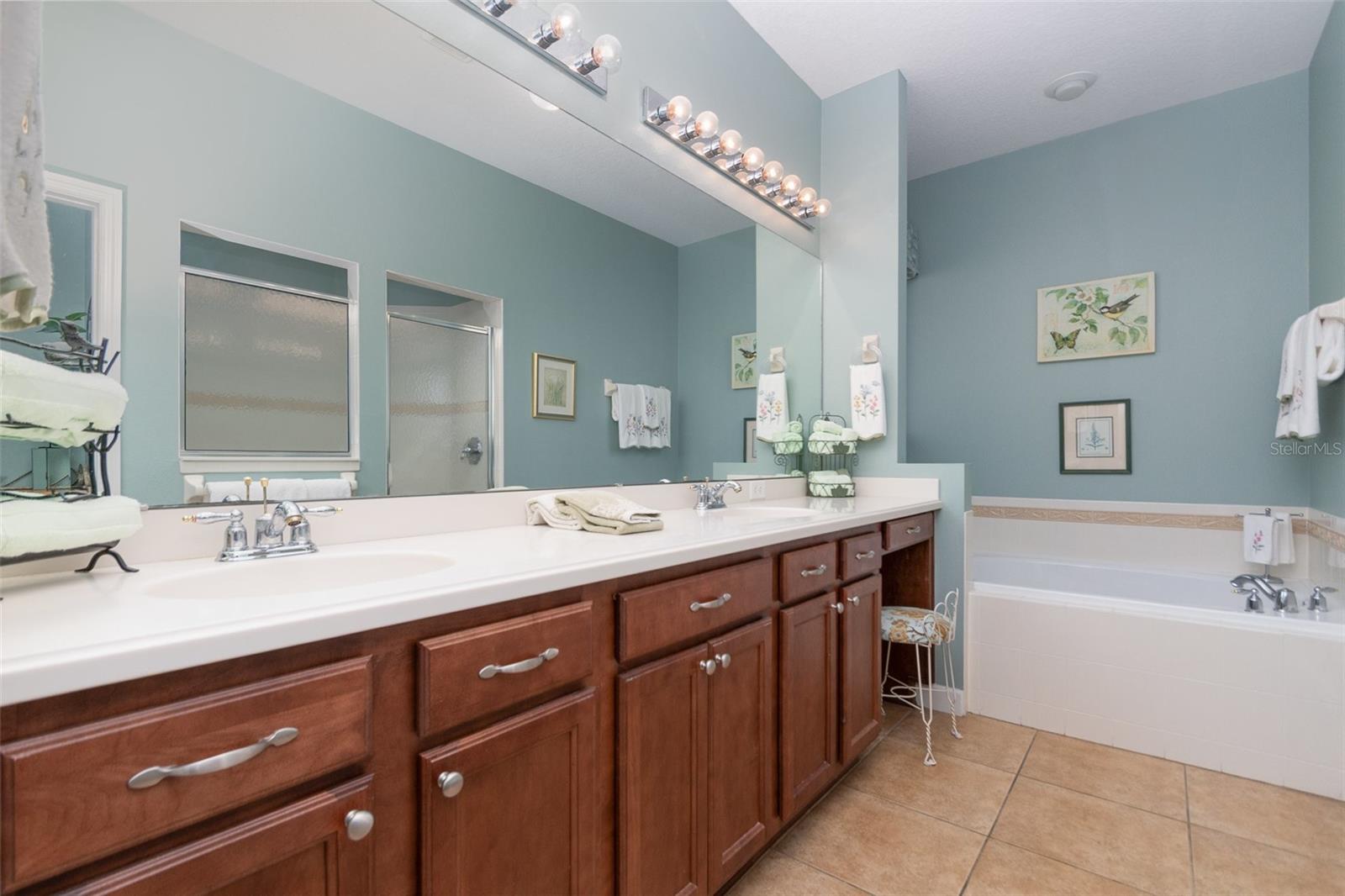 3048 NEW HAVEN PL, MOUNT DORA, FL, 32757