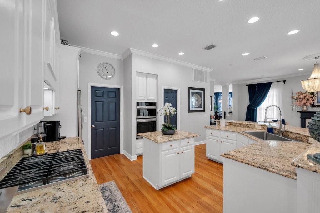 5913 FLATWOODS MANOR CIR, LITHIA, FL, 33547