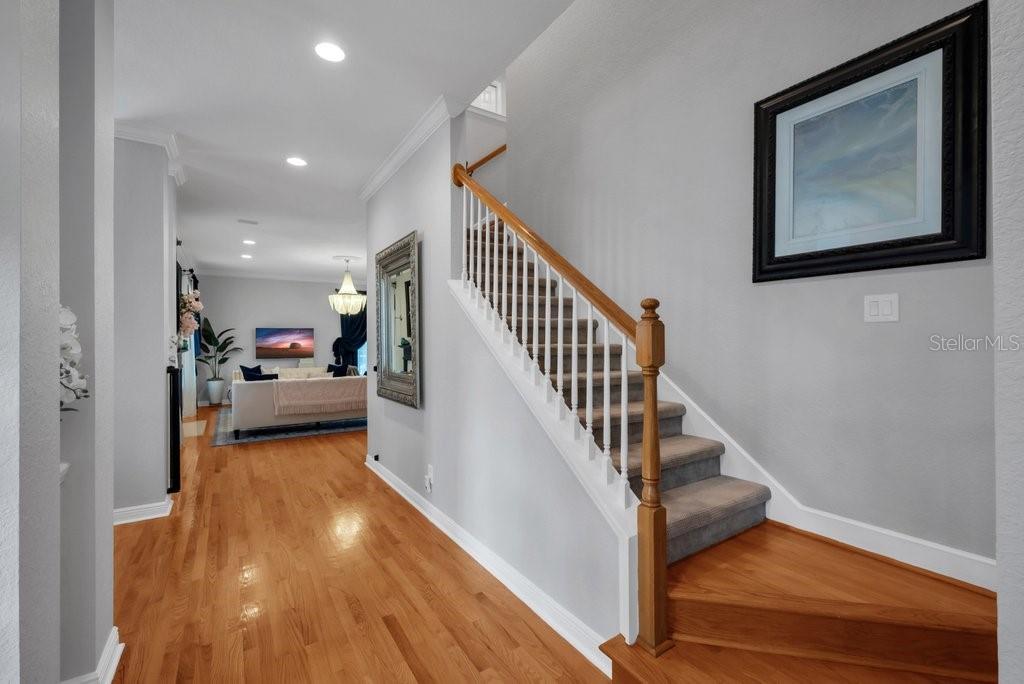 5913 FLATWOODS MANOR CIR, LITHIA, FL, 33547