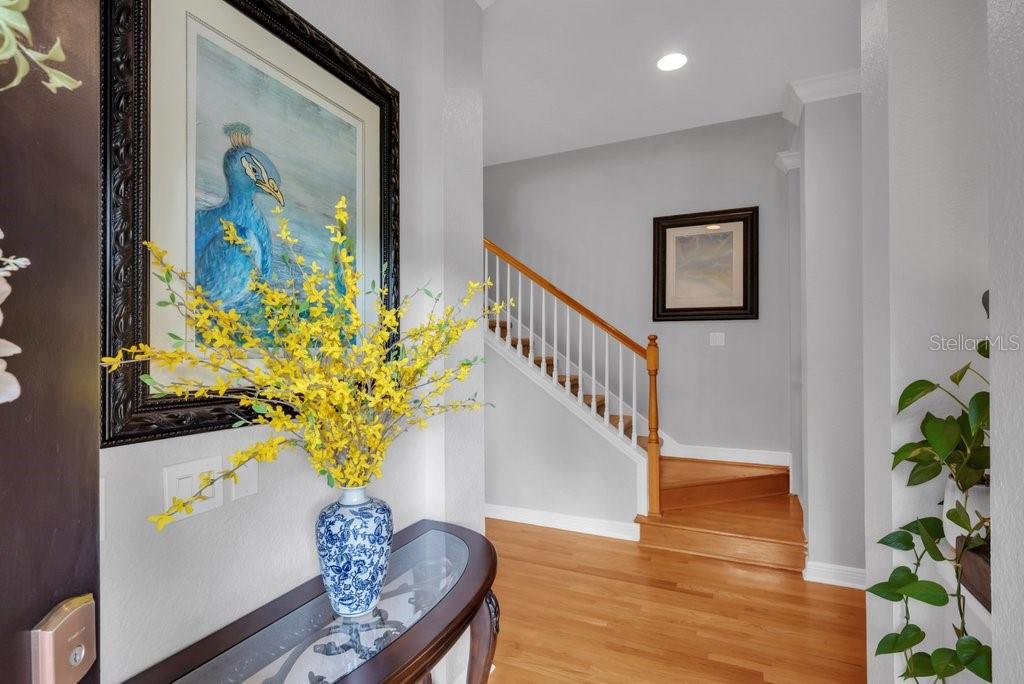 5913 FLATWOODS MANOR CIR, LITHIA, FL, 33547
