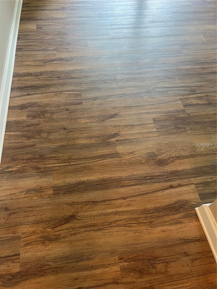 18369 BRIDLE CLUB DR, TAMPA, FL, 33647