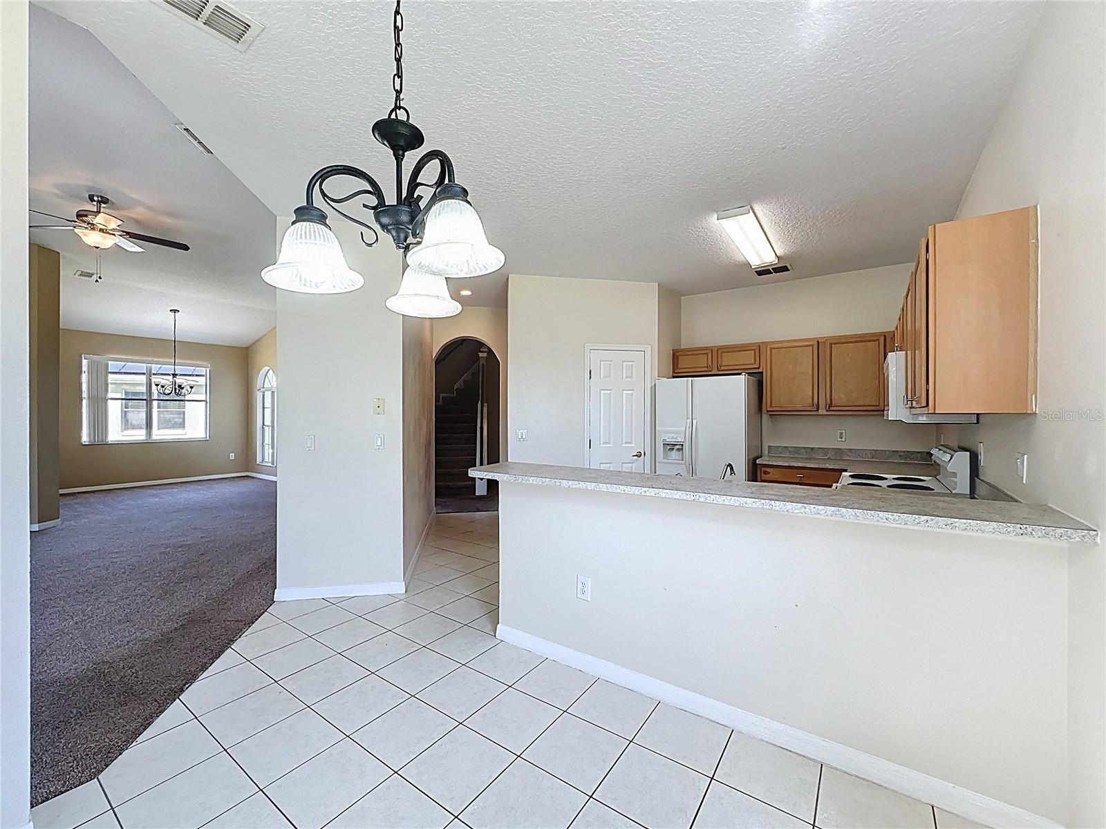 205 MINNIEHAHA CIR, HAINES CITY, FL, 33844