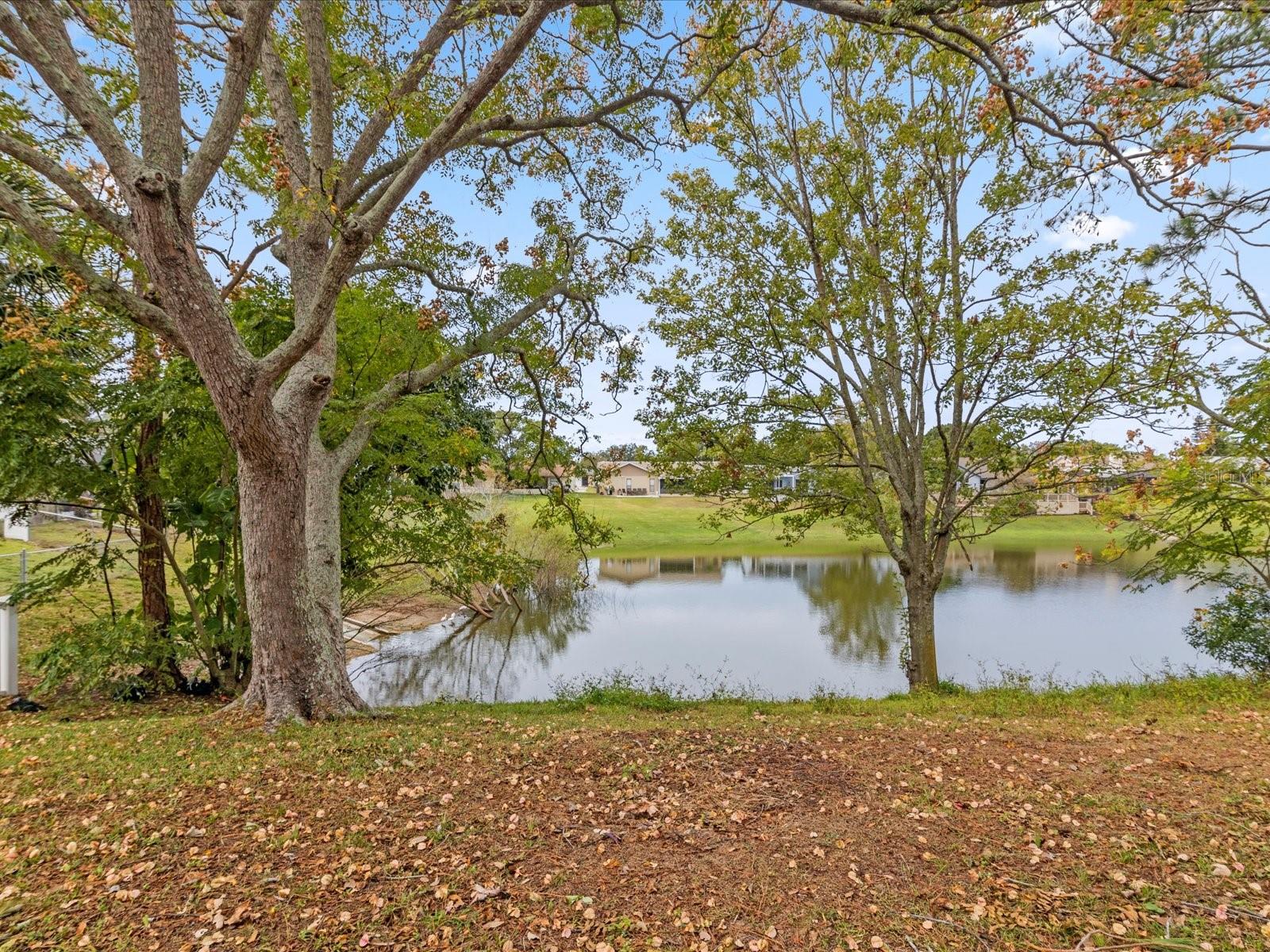 8731 MARTINIQUE LN, PORT RICHEY, FL, 34668