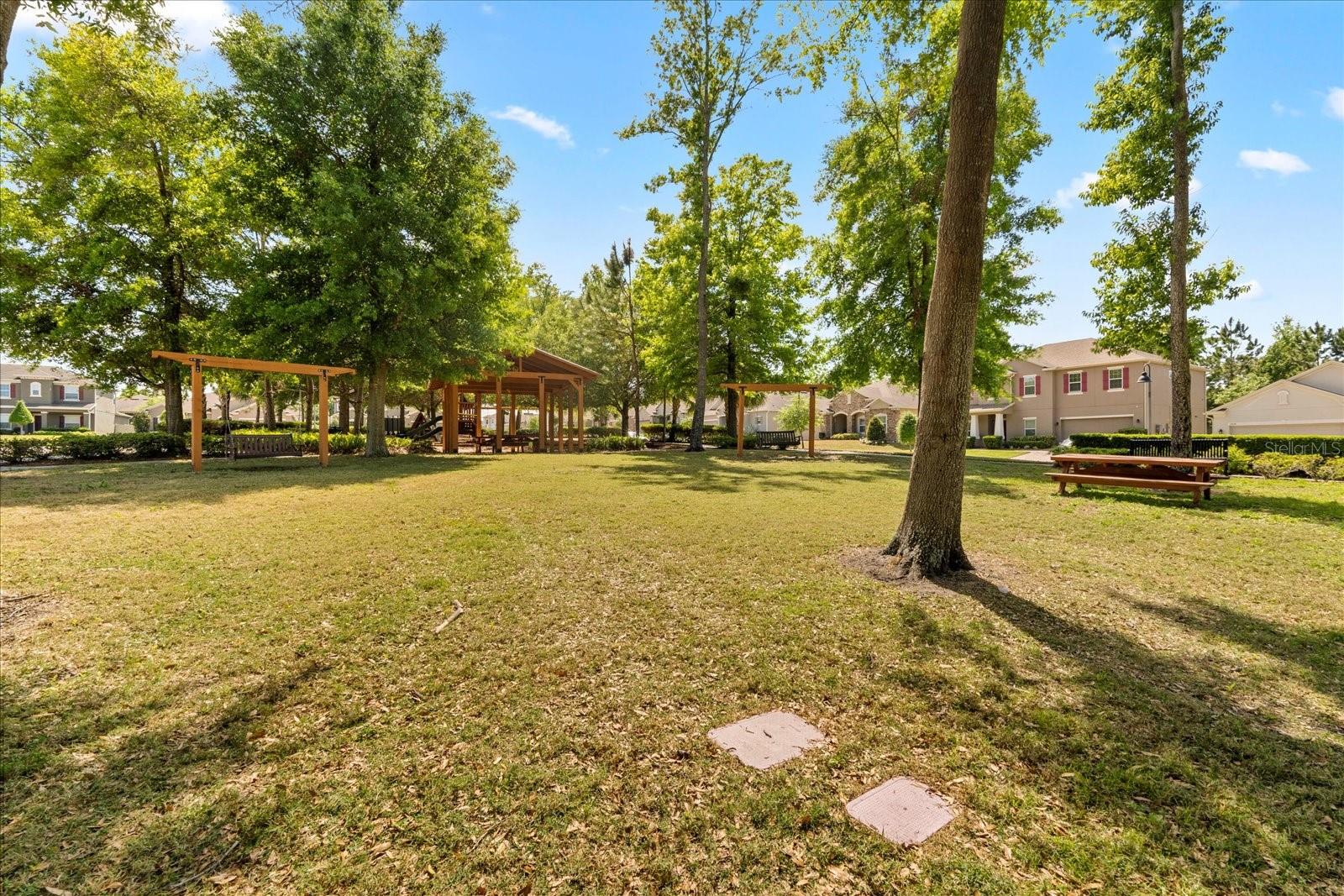 2909 BLACK BIRCH DR, OCOEE, FL, 34761