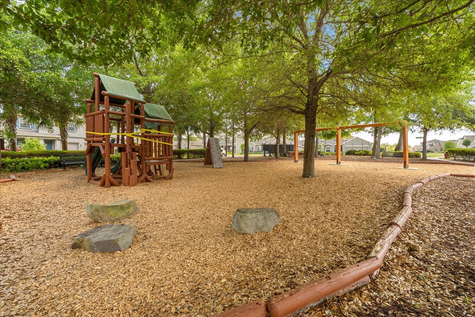 2909 BLACK BIRCH DR, OCOEE, FL, 34761