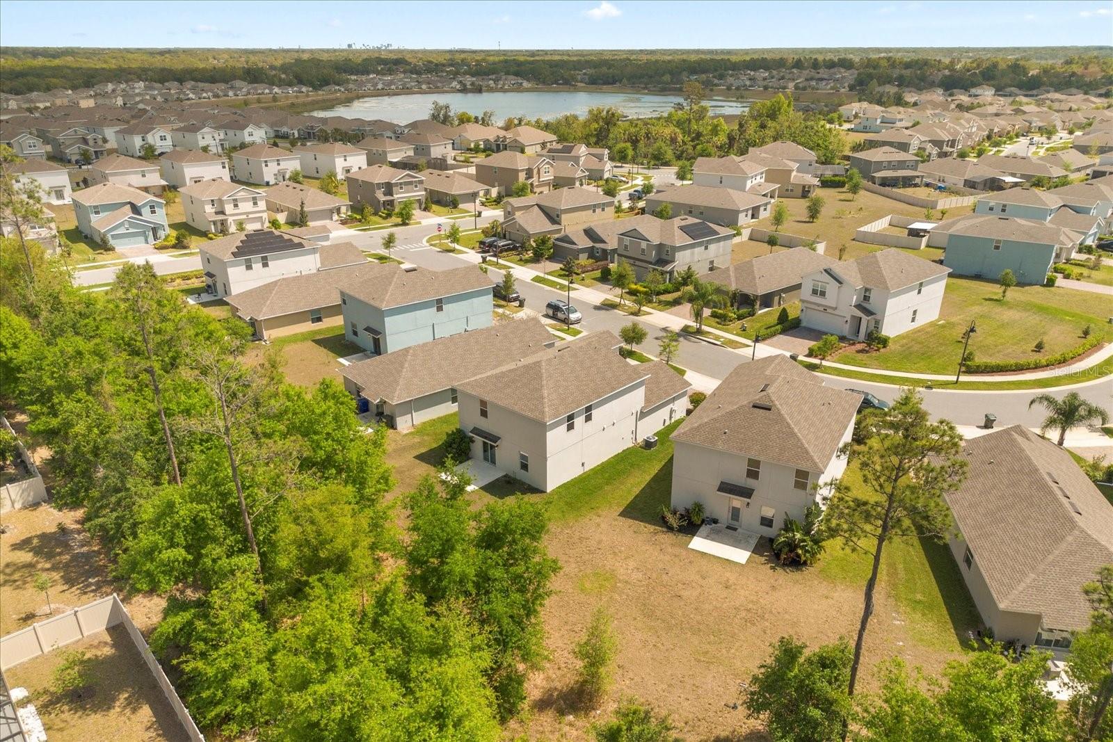 2909 BLACK BIRCH DR, OCOEE, FL, 34761