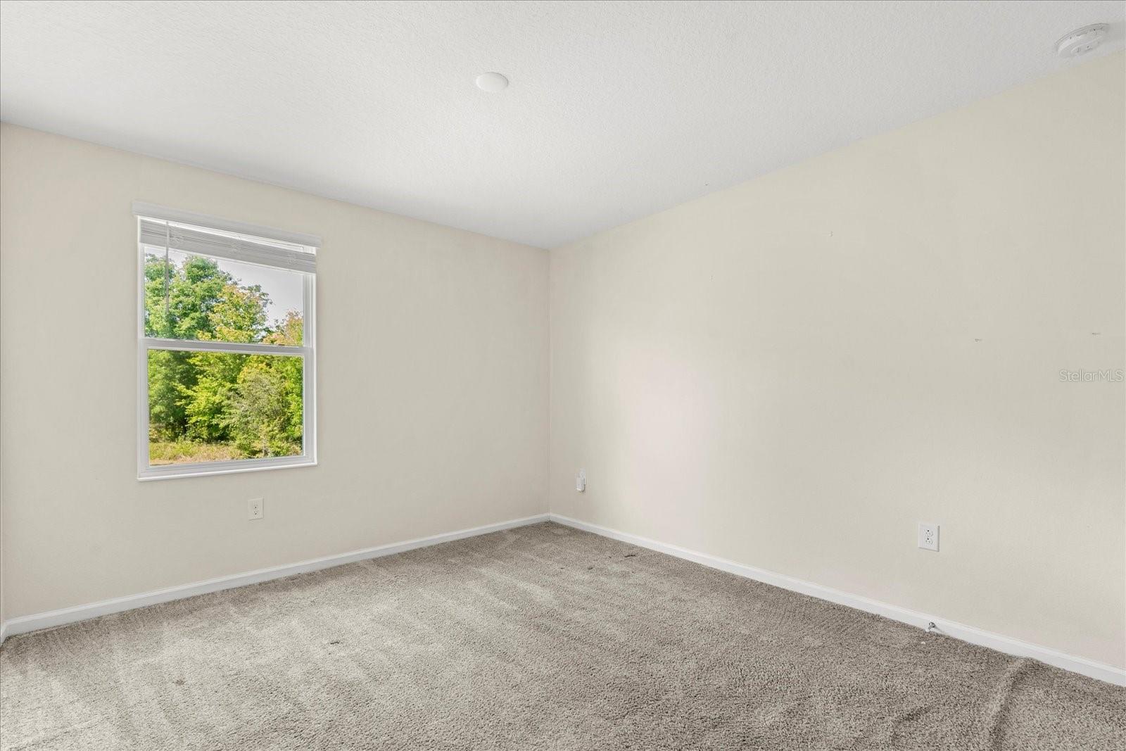 2909 BLACK BIRCH DR, OCOEE, FL, 34761