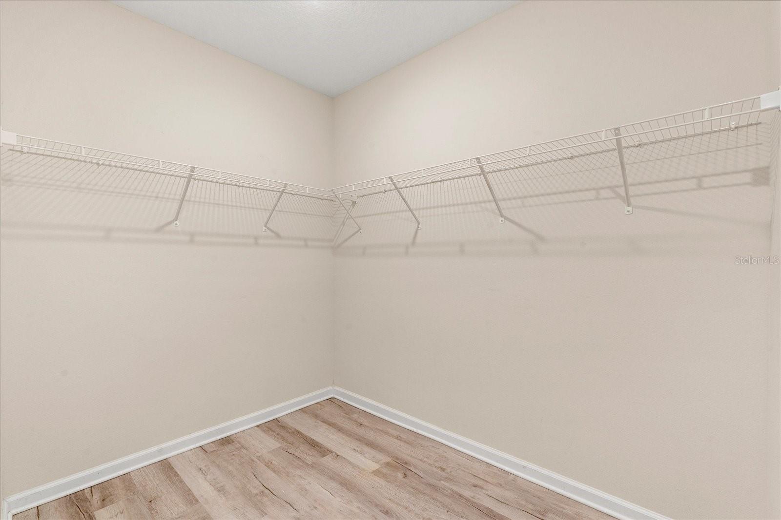 2909 BLACK BIRCH DR, OCOEE, FL, 34761