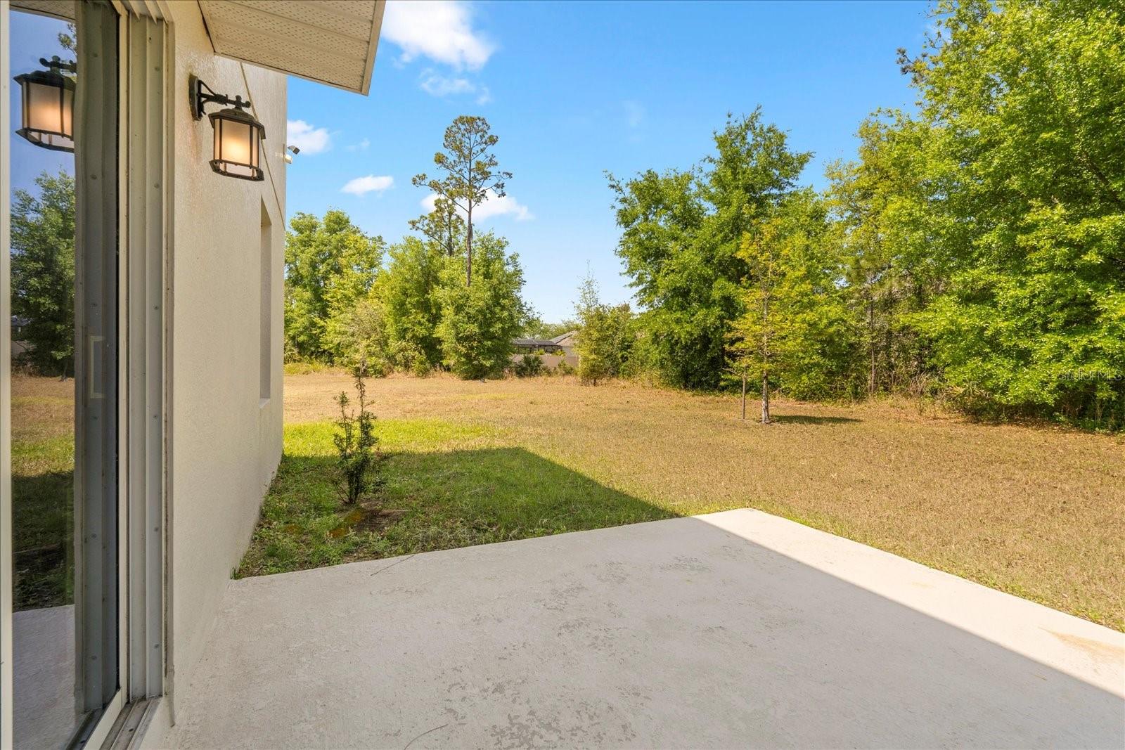 2909 BLACK BIRCH DR, OCOEE, FL, 34761