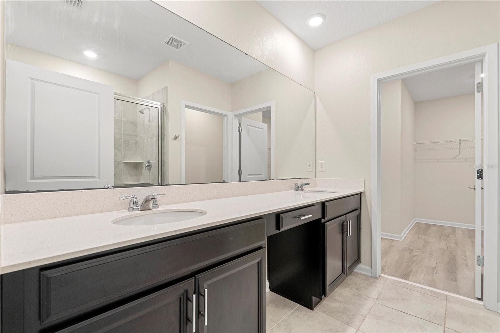 2909 BLACK BIRCH DR, OCOEE, FL, 34761