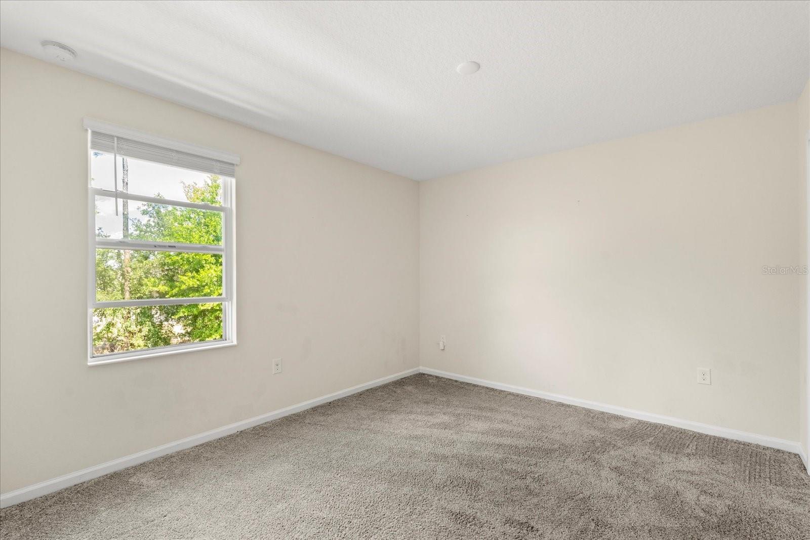 2909 BLACK BIRCH DR, OCOEE, FL, 34761