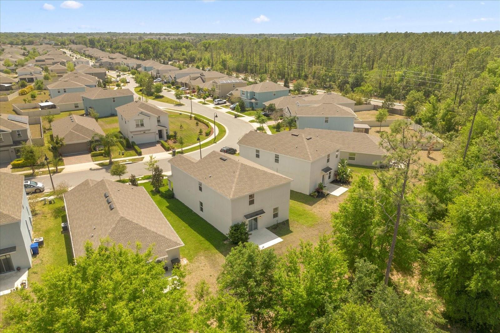 2909 BLACK BIRCH DR, OCOEE, FL, 34761