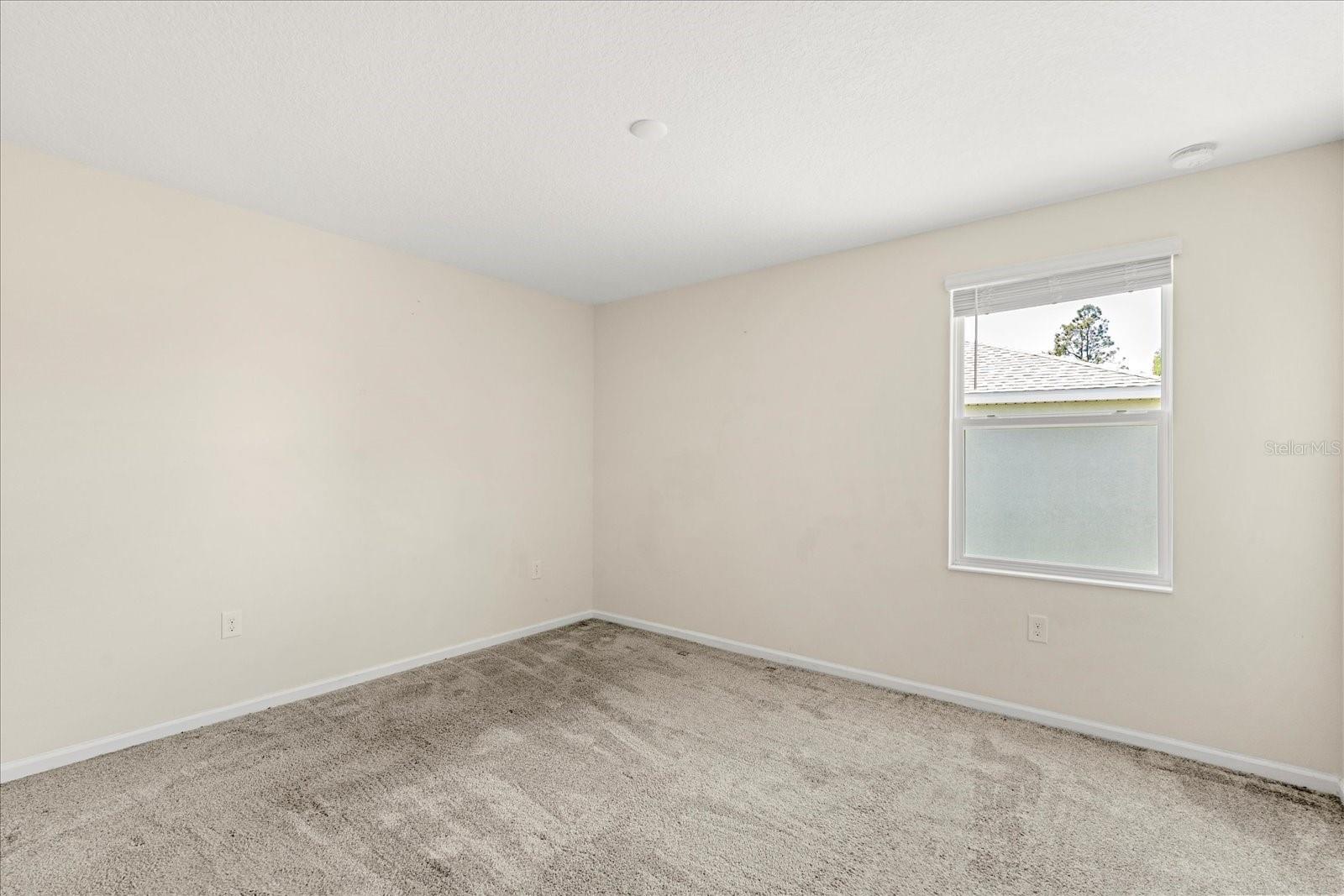 2909 BLACK BIRCH DR, OCOEE, FL, 34761