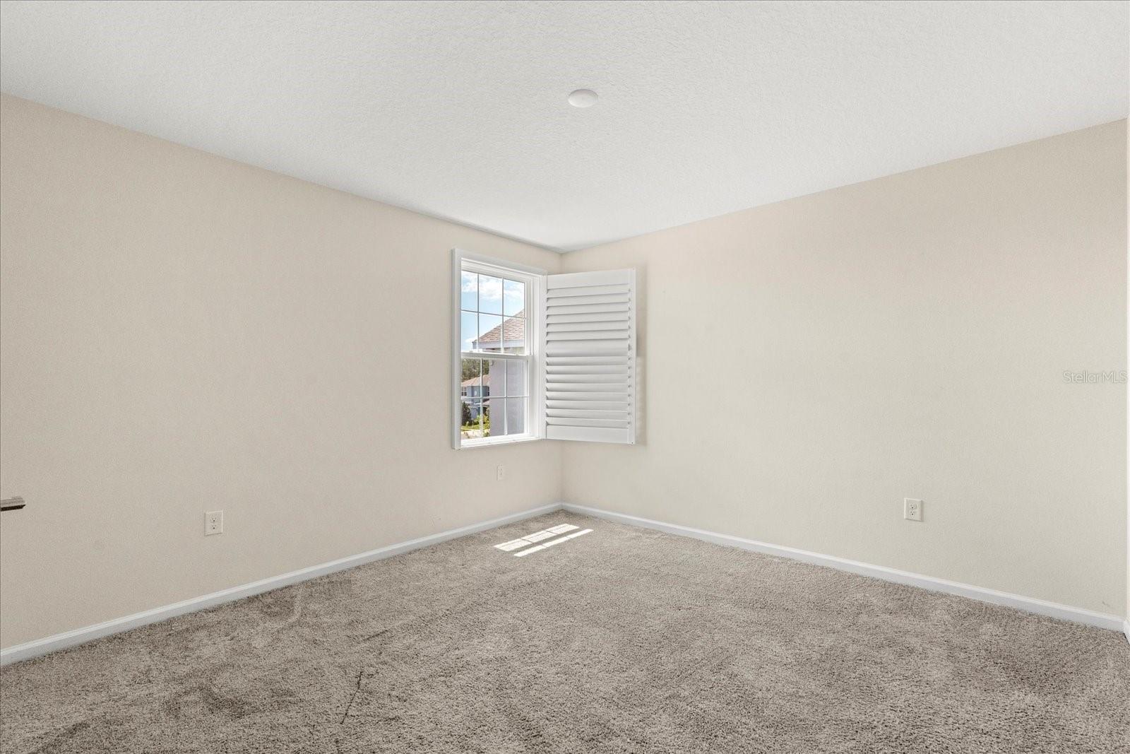 2909 BLACK BIRCH DR, OCOEE, FL, 34761