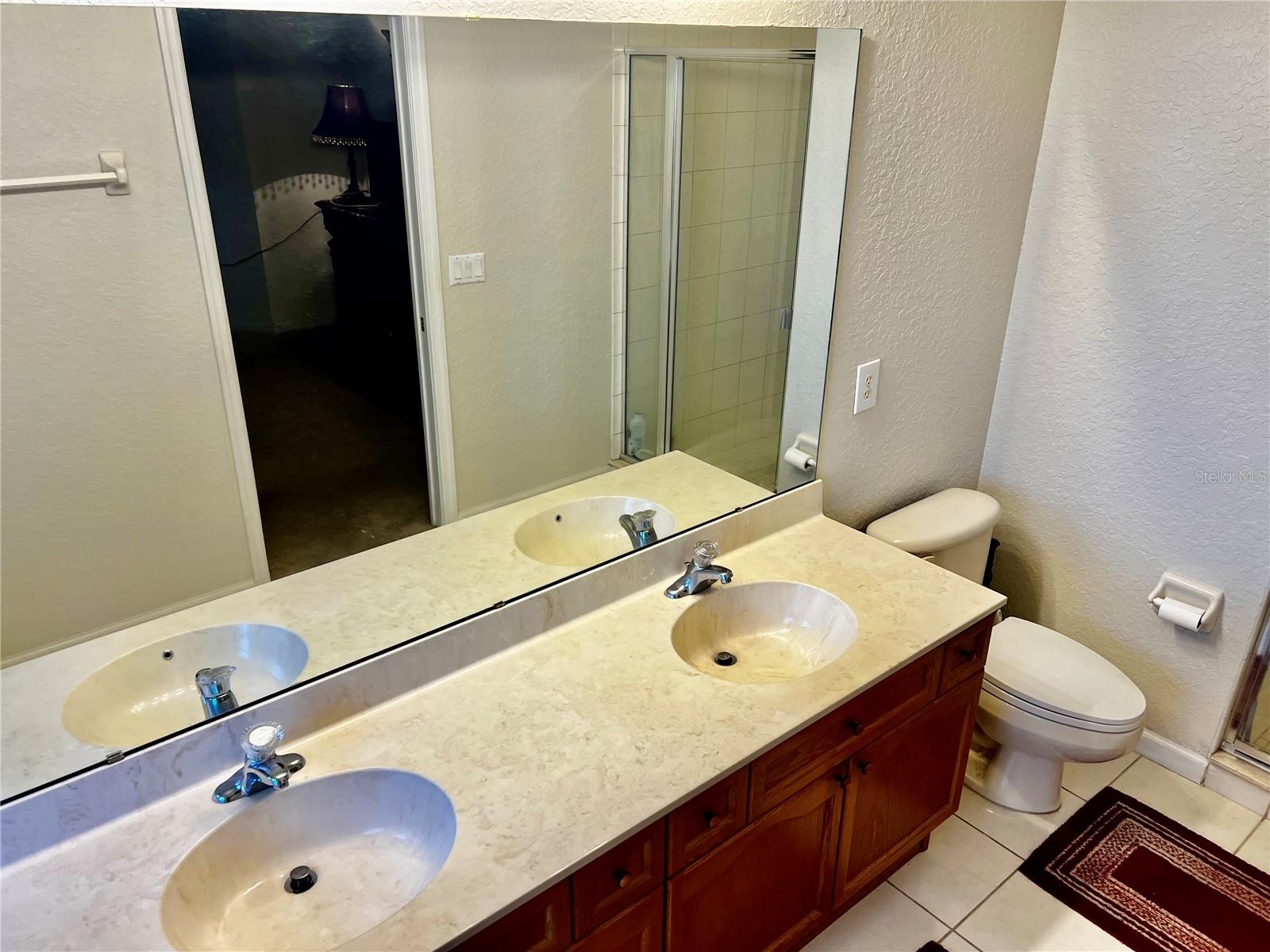 2920 RIVER BIRCH DR, KISSIMMEE, FL, 34741