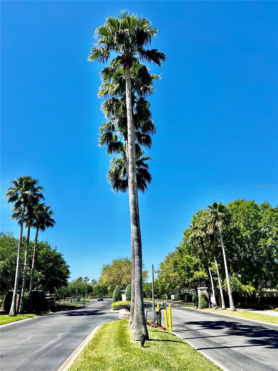 2920 RIVER BIRCH DR, KISSIMMEE, FL, 34741