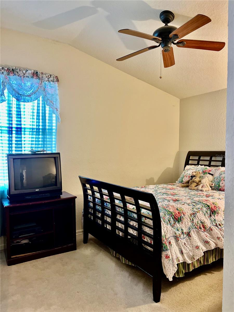 2920 RIVER BIRCH DR, KISSIMMEE, FL, 34741