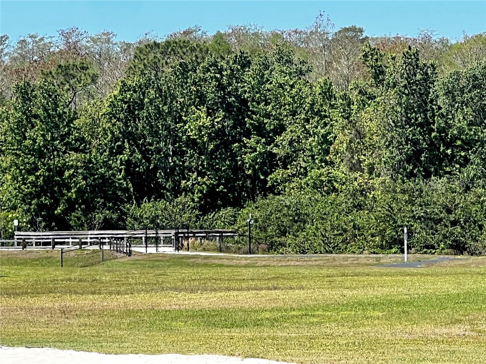 2920 RIVER BIRCH DR, KISSIMMEE, FL, 34741