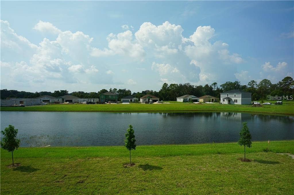 13934 RUSHING CREEK RUN, ORLANDO, FL, 32824