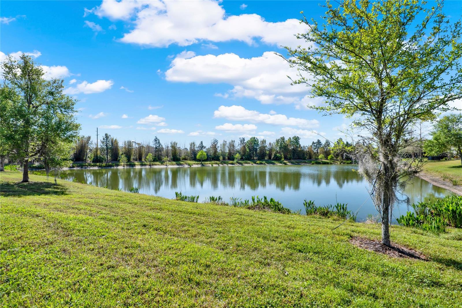 406 TISBURY COURT, DELAND, FL, 32724