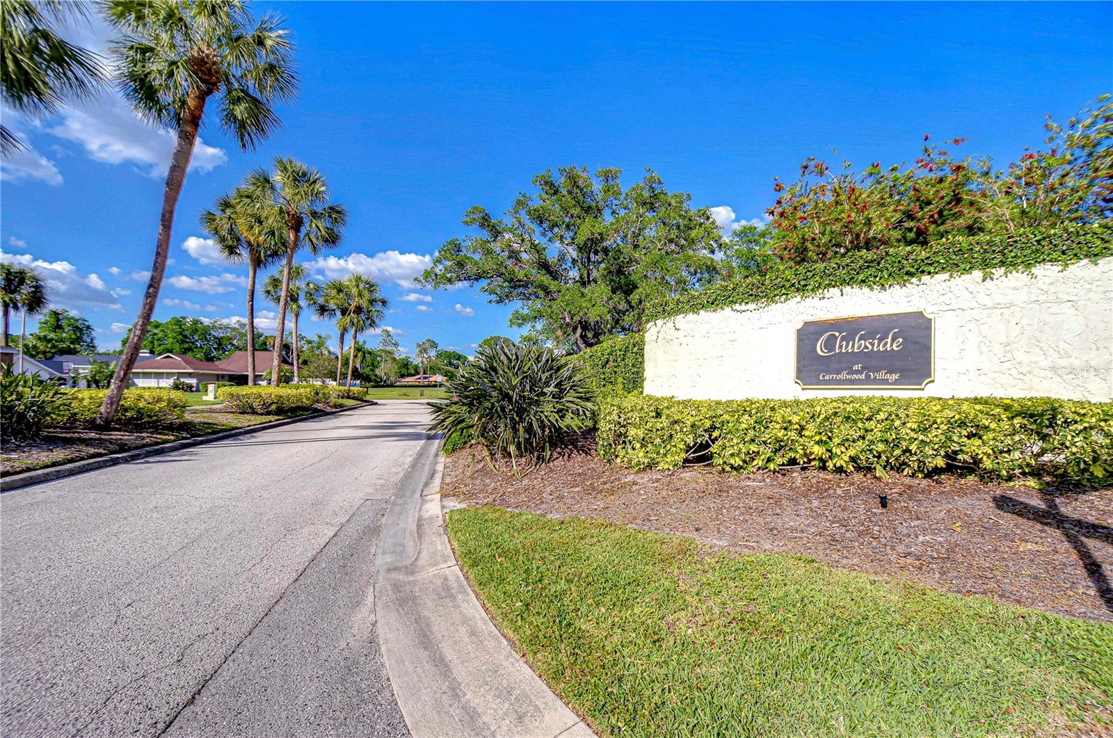 13522 CLUBSIDE DR, TAMPA, FL, 33624