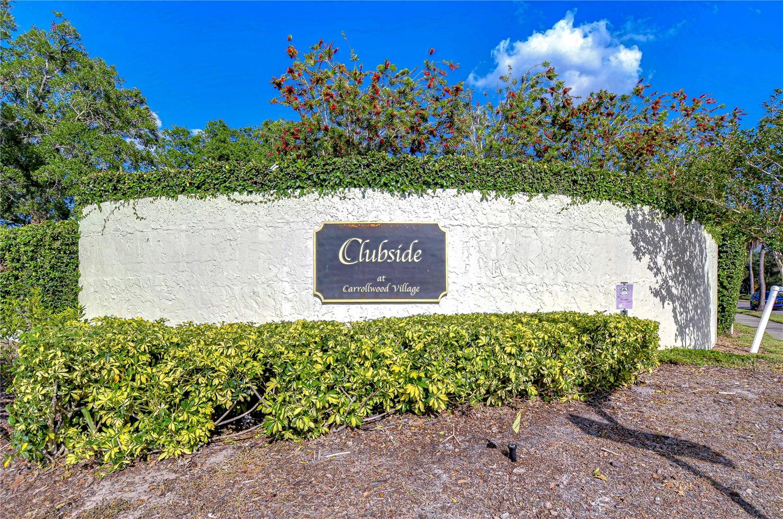 13522 CLUBSIDE DR, TAMPA, FL, 33624