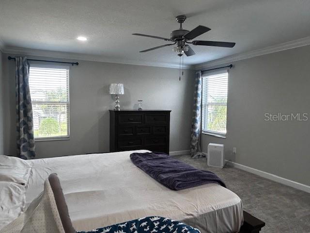 25072 LAMBRUSCO LOOP, LUTZ, FL, 33559