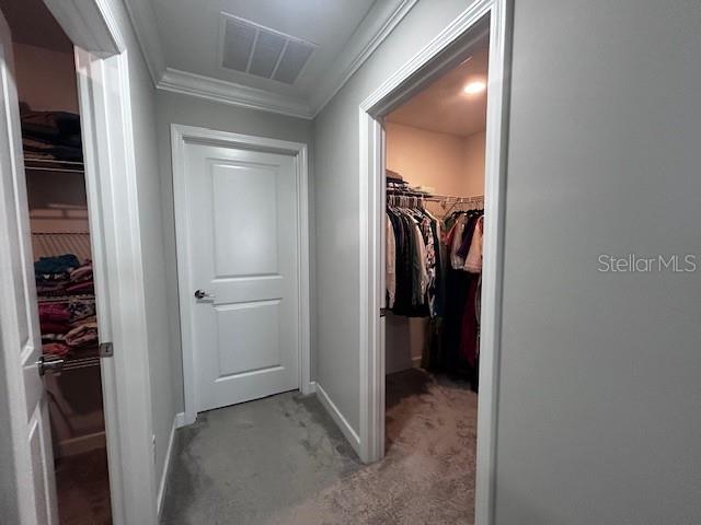 25072 LAMBRUSCO LOOP, LUTZ, FL, 33559